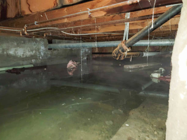 Best 24-hour water damage restoration  in Park View, IA