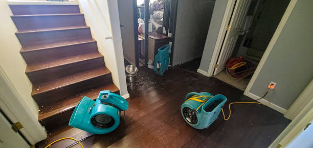 Best 24/7 water damage repair  in Park View, IA