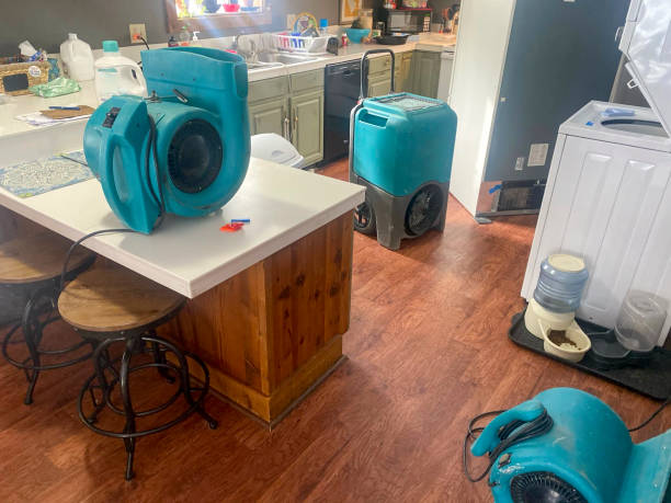 Water damage restoration mold remediation in Park View, IA