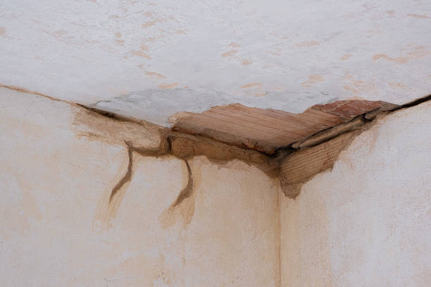 Best Water damage cleanup near me  in Park View, IA