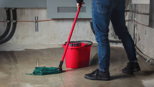 Trusted Park View, IA Water damage restoration Experts