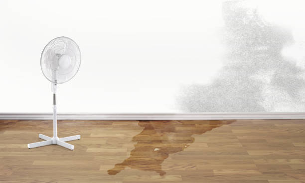 Local water damage restoration in Park View, IA
