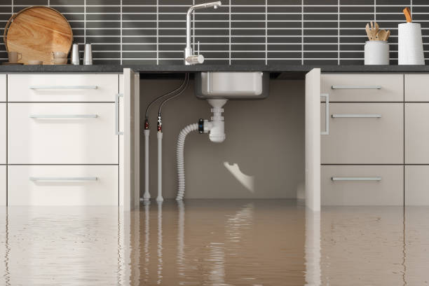Best Sewage cleanup and water damage restoration  in Park View, IA